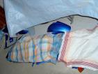 Foto : IM000476.jpg