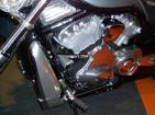 Foto : IM000273.jpg